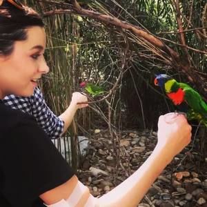 Meet your Posher, Mads